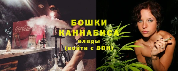 МДПВ Гатчина