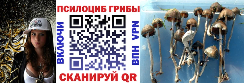 Галлюциногенные грибы мухоморы  Купить закладки  Ленск 